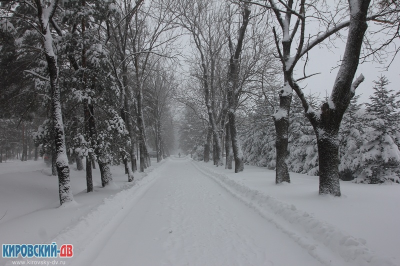 Тротуар по Ленинской, пгт.Кировский