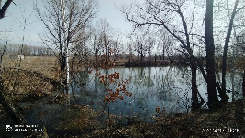 Озеро на дачах, Кировский район