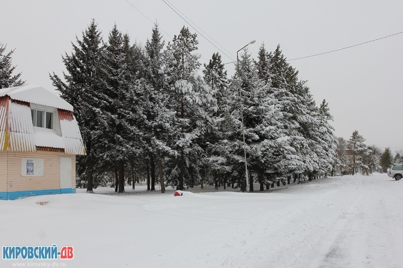 Площадь, пгт.Кировский