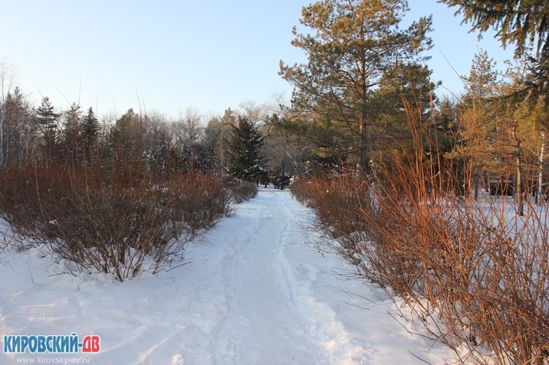 Тротуар, пгт.Кировский