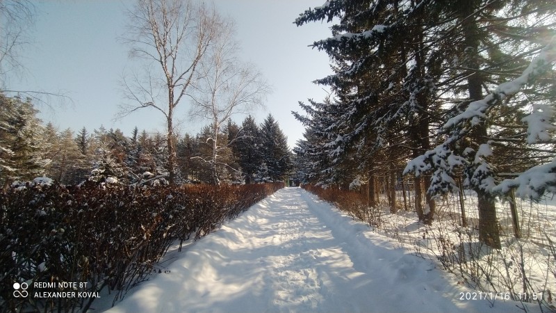 Сквер Ленина, пгт.Кировский