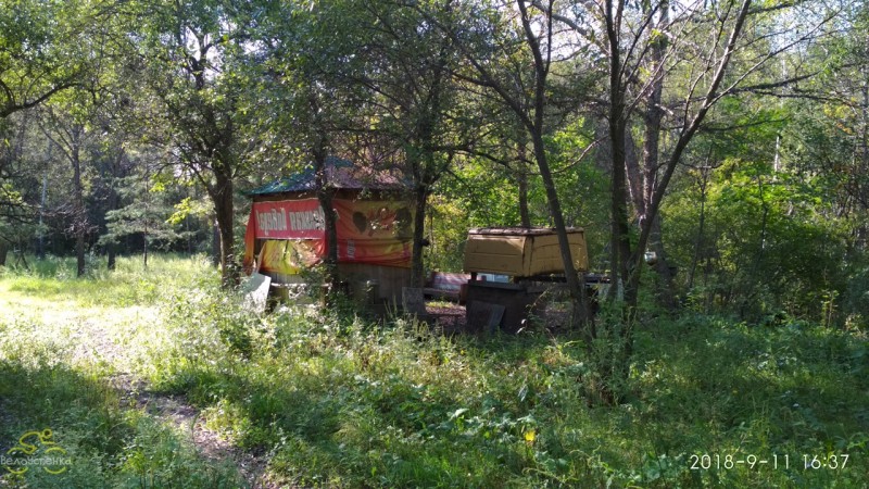 Пасечный точок, с.Родниковый