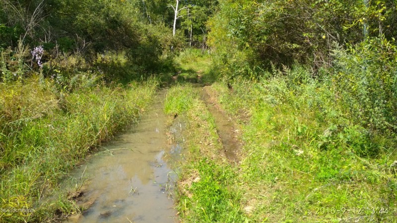 По дороге на Медвежью, Кировский район