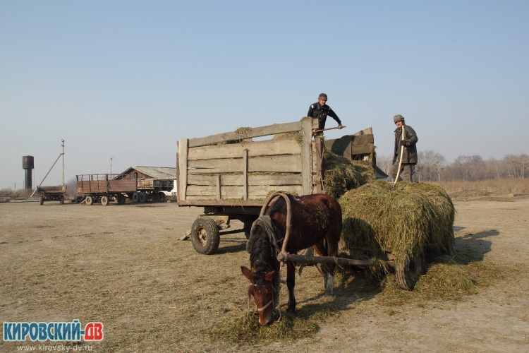 Погрузка, с.Комаровка