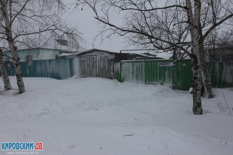 Лесной переулок, пгт.Кировский