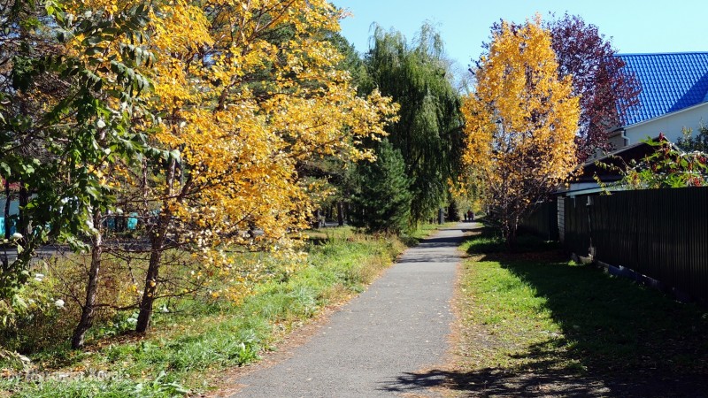 Ленинская улица, пгт.Кировский