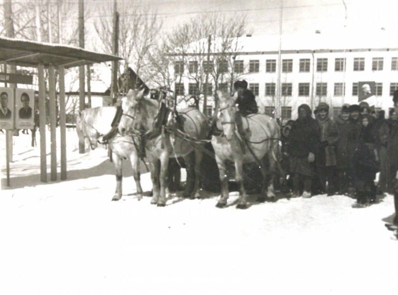 Возле школы, пгт.Кировский