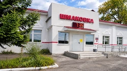 Станция «Шмаковка» ДВЖД